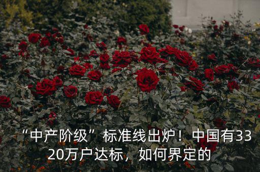 “中產(chǎn)階級(jí)”標(biāo)準(zhǔn)線出爐！中國(guó)有3320萬戶達(dá)標(biāo)，如何界定的