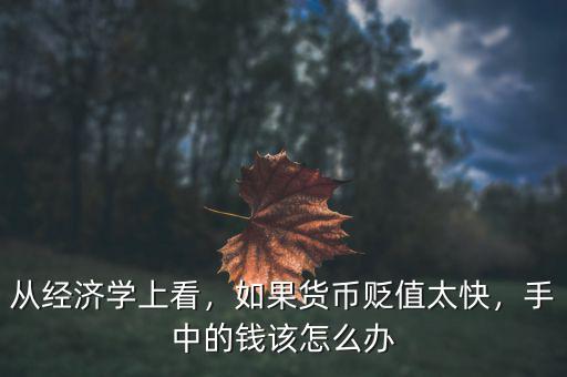 從經(jīng)濟(jì)學(xué)上看，如果貨幣貶值太快，手中的錢該怎么辦