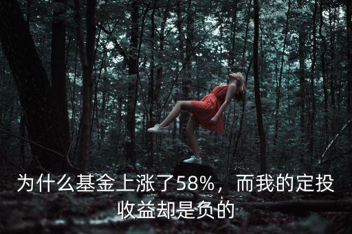 為什么基金上漲了58%，而我的定投收益卻是負(fù)的
