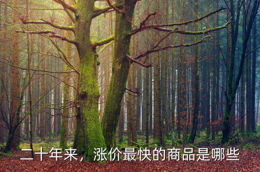 二十年來，漲價(jià)最快的商品是哪些