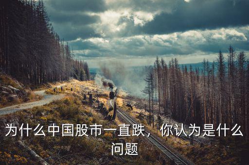 為什么中國股市一直跌，你認為是什么問題