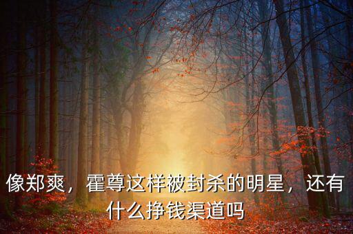 像鄭爽，霍尊這樣被封殺的明星，還有什么掙錢渠道嗎
