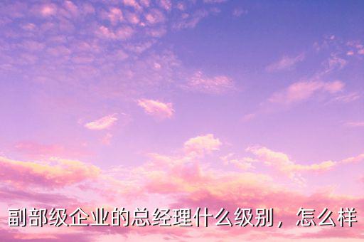 副部級企業(yè)的總經(jīng)理什么級別，怎么樣
