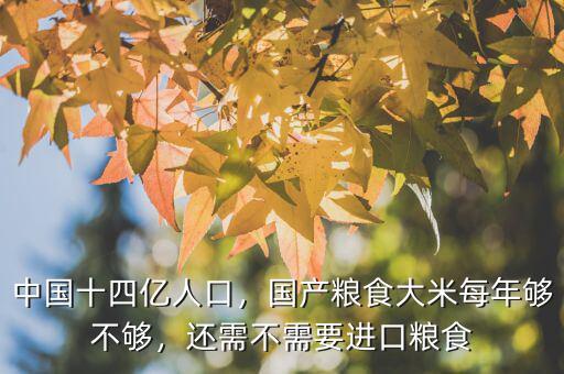中國十四億人口，國產(chǎn)糧食大米每年夠不夠，還需不需要進(jìn)口糧食
