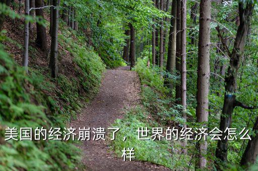 美國的經(jīng)濟(jì)崩潰了，世界的經(jīng)濟(jì)會(huì)怎么樣