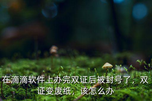 在滴滴軟件上辦完雙證后被封號(hào)了，雙證變廢紙，該怎么辦
