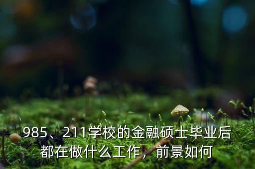 985、211學(xué)校的金融碩士畢業(yè)后都在做什么工作，前景如何