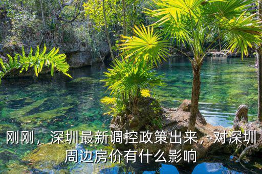 剛剛，深圳最新調(diào)控政策出來，對(duì)深圳周邊房?jī)r(jià)有什么影響