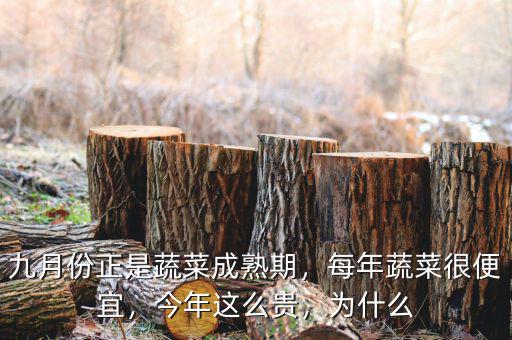 九月份正是蔬菜成熟期，每年蔬菜很便宜，今年這么貴，為什么