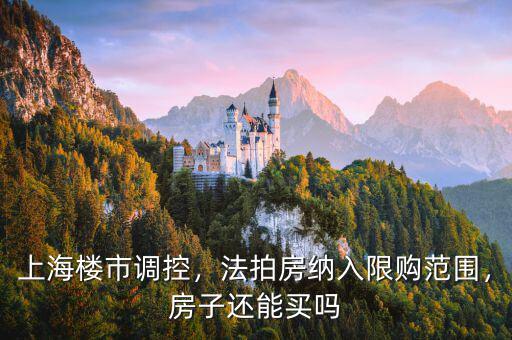 上海樓市調(diào)控，法拍房納入限購范圍，房子還能買嗎
