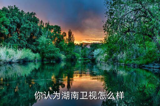 湖南衛(wèi)視廣告怎么收費,你認(rèn)為湖南衛(wèi)視怎么樣