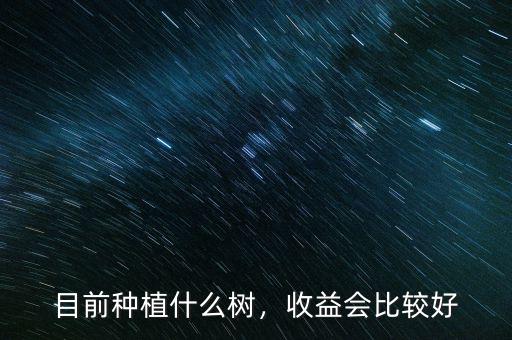 目前種植什么樹，收益會比較好