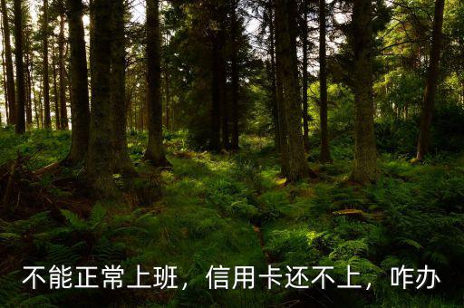 不能正常上班，信用卡還不上，咋辦
