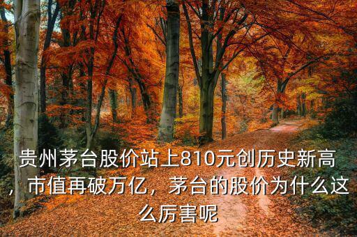 貴州茅臺股價站上810元創(chuàng)歷史新高，市值再破萬億，茅臺的股價為什么這么厲害呢