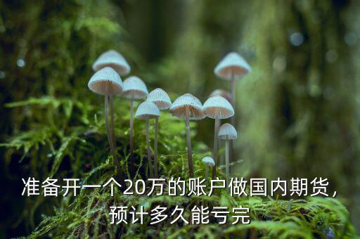 準(zhǔn)備開(kāi)一個(gè)20萬(wàn)的賬戶做國(guó)內(nèi)期貨，預(yù)計(jì)多久能虧完