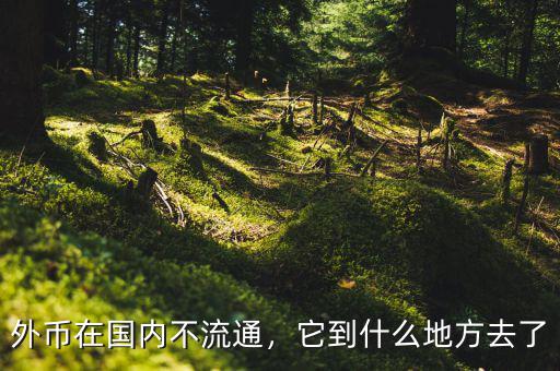 外幣在國內(nèi)不流通，它到什么地方去了