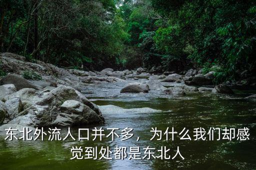 東北外流人口并不多，為什么我們卻感覺到處都是東北人