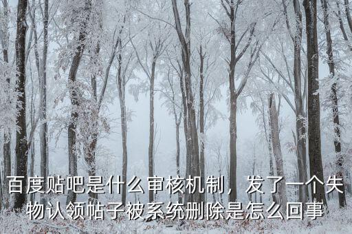 百度貼吧是什么審核機制，發(fā)了一個失物認領帖子被系統(tǒng)刪除是怎么回事