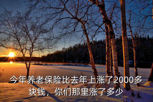 今年養(yǎng)老保險比去年上漲了2000多塊錢，你們那里漲了多少