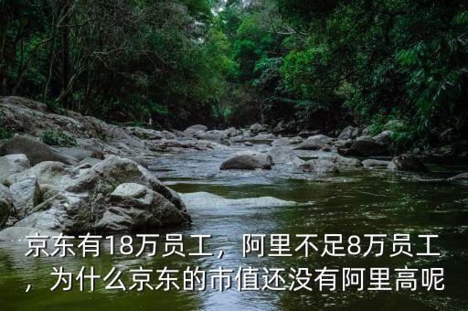 京東有18萬(wàn)員工，阿里不足8萬(wàn)員工，為什么京東的市值還沒有阿里高呢