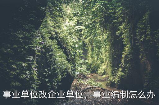 事業(yè)單位改企業(yè)單位，事業(yè)編制怎么辦