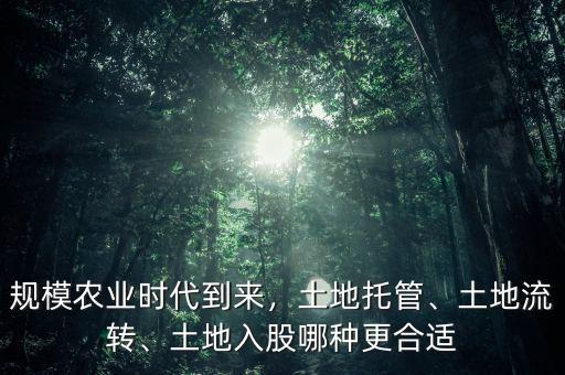 規(guī)模農業(yè)時代到來，土地托管、土地流轉、土地入股哪種更合適
