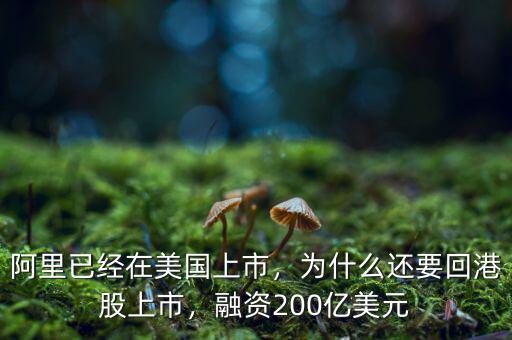 阿里已經(jīng)在美國上市，為什么還要回港股上市，融資200億美元