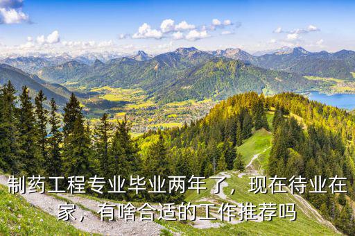 制藥工程專業(yè)畢業(yè)兩年了，現(xiàn)在待業(yè)在家，有啥合適的工作推薦嗎