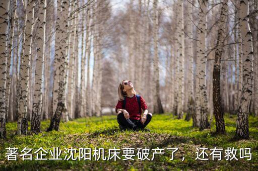 著名企業(yè)沈陽(yáng)機(jī)床要破產(chǎn)了，還有救嗎