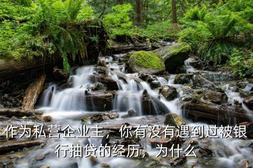 作為私營企業(yè)主，你有沒有遇到過被銀行抽貸的經(jīng)歷，為什么