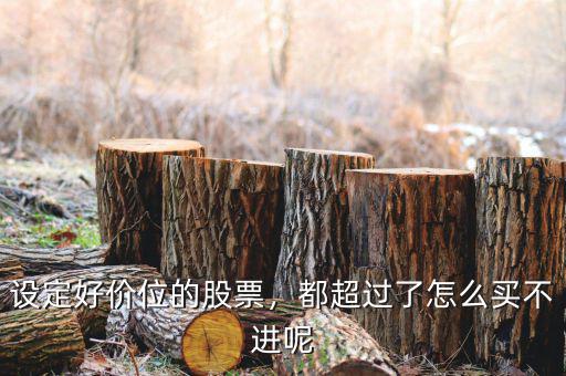 設定好價位的股票，都超過了怎么買不進呢