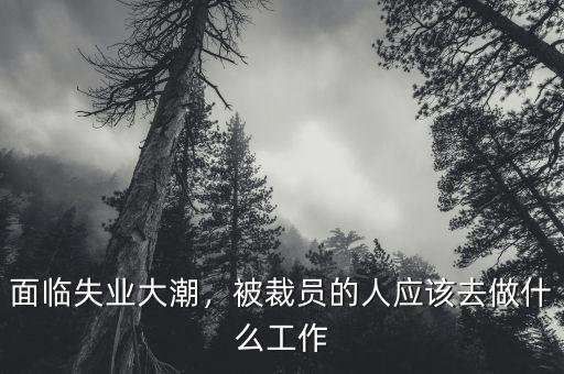 面臨失業(yè)大潮，被裁員的人應(yīng)該去做什么工作