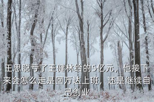 王思聰虧了王健林給的5億元，他接下來會怎么走是回萬達(dá)上班，還是繼續(xù)自己創(chuàng)業(yè)