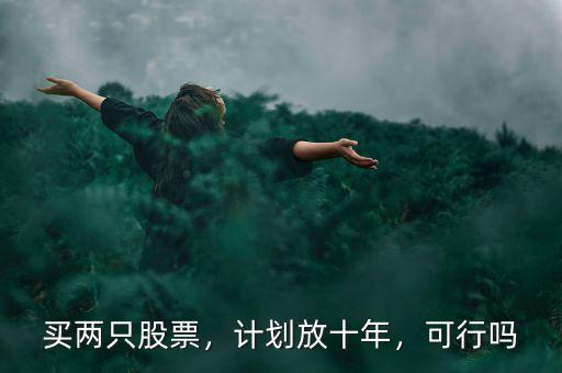 買兩只股票，計(jì)劃放十年，可行嗎