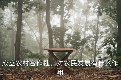 成立農(nóng)村合作社，對(duì)農(nóng)民發(fā)展有什么作用