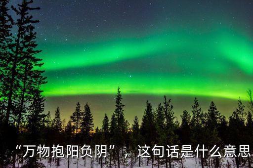 “萬物抱陽負(fù)陰”，這句話是什么意思