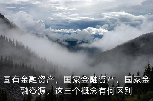 國(guó)有金融資產(chǎn)，國(guó)家金融資產(chǎn)，國(guó)家金融資源，這三個(gè)概念有何區(qū)別