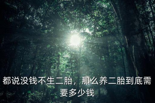都說沒錢不生二胎，那么養(yǎng)二胎到底需要多少錢