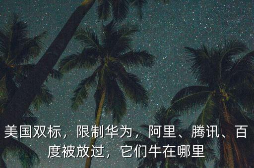 美國(guó)雙標(biāo)，限制華為，阿里、騰訊、百度被放過，它們牛在哪里