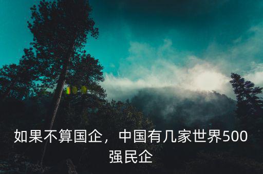 如果不算國(guó)企，中國(guó)有幾家世界500強(qiáng)民企