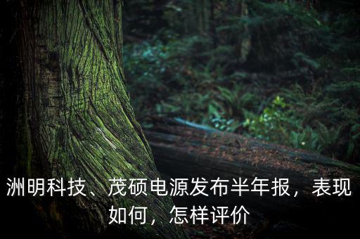 洲明科技、茂碩電源發(fā)布半年報(bào)，表現(xiàn)如何，怎樣評(píng)價(jià)