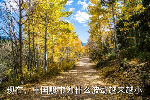 現(xiàn)在，中國股市為什么波動(dòng)越來越小