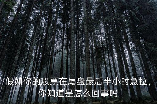 假如你的股票在尾盤最后半小時(shí)急拉，你知道是怎么回事嗎