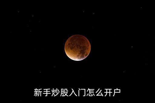 怎么開(kāi)戶炒股,新手炒股入門怎么開(kāi)戶