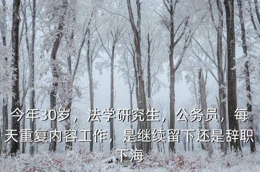 今年30歲，法學研究生，公務員，每天重復內容工作，是繼續(xù)留下還是辭職下海