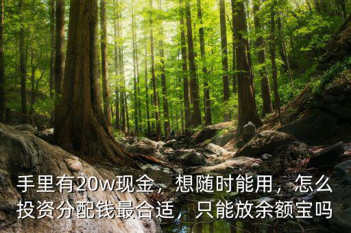 手里有20w現(xiàn)金，想隨時能用，怎么投資分配錢最合適，只能放余額寶嗎