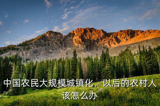 中國農(nóng)民大規(guī)模城鎮(zhèn)化，以后的農(nóng)村人該怎么辦