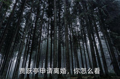 賈躍亭申請離婚，你怎么看