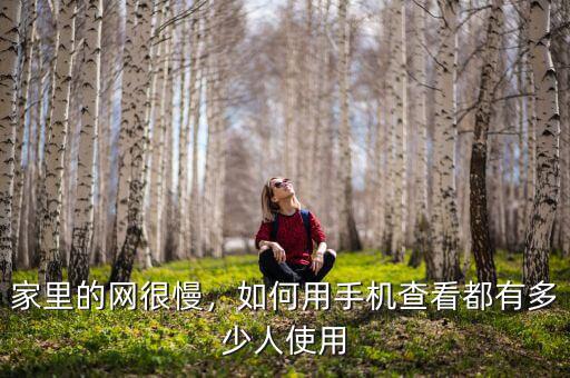 家里的網(wǎng)很慢，如何用手機查看都有多少人使用