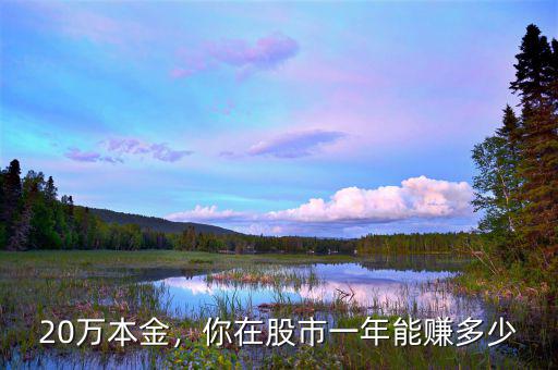 20萬本金，你在股市一年能賺多少